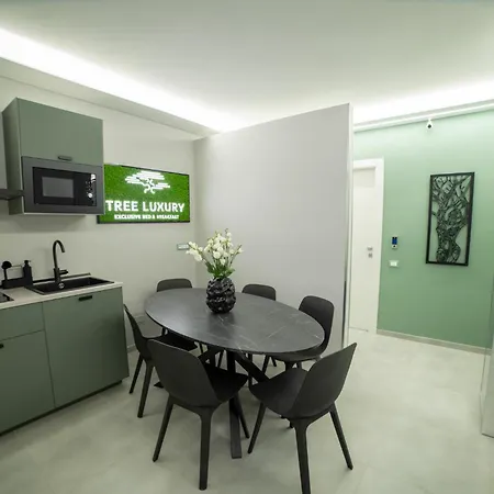 Πανσιόν Tree Luxury Μπαρονίσι