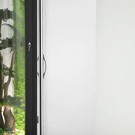 Πανσιόν Tree Luxury Μπαρονίσι