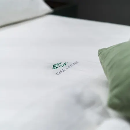 Πανσιόν Tree Luxury