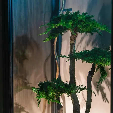 Tree Luxury 3* بارونيسي