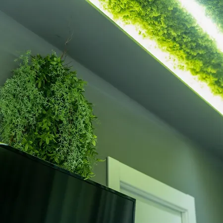 Πανσιόν Tree Luxury 3*